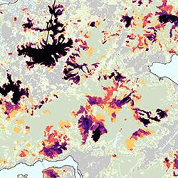 Map of burn sites in Hong Kong