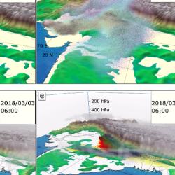 Three dimensional dynamics of long-range atmospheric transport of fungal pathogens transmitting wheat rust