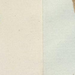 Escholzia californica type specimen