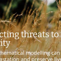 crops in a field with article title overlayed 
