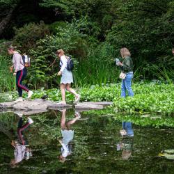Visitors in the botanic garden