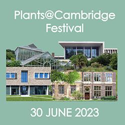 Plants at cambridge festival banner